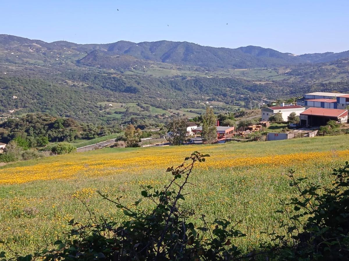 Pension La Sierra Cortes de la Frontera Exteriör bild